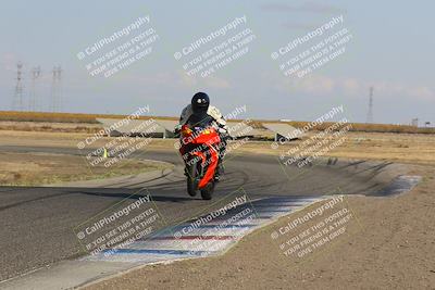 media/Nov-06-2023-Lets Ride (Mon) [[98fce14742]]/A Group/2pm (Wheelie Bump)/